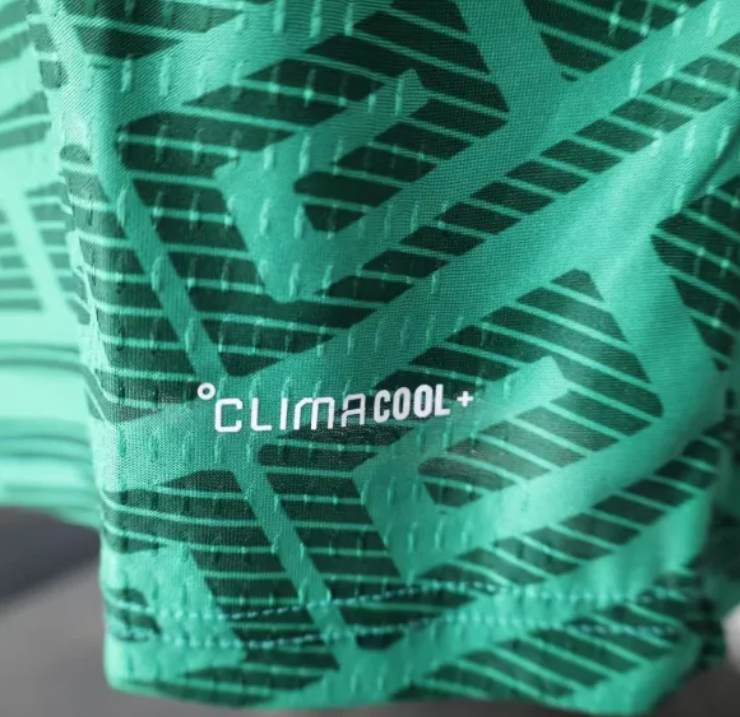 Mexico World Cup 2026 home Player Version - Image 6